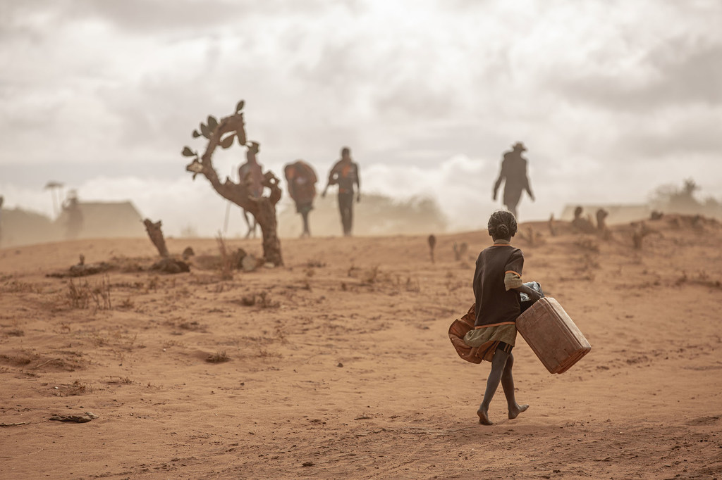 Les gens cherchent de l'eau dans le sud de Madagascar frappé par la sécheresse.
